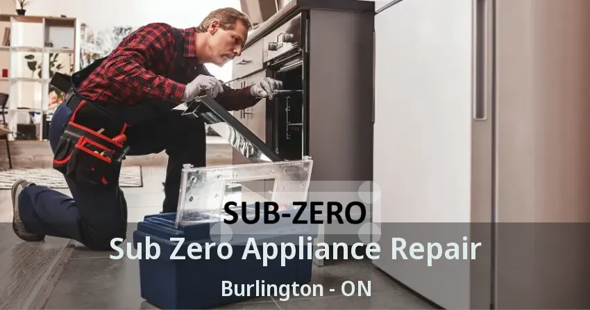 Sub Zero Appliance Repair Burlington - ON
