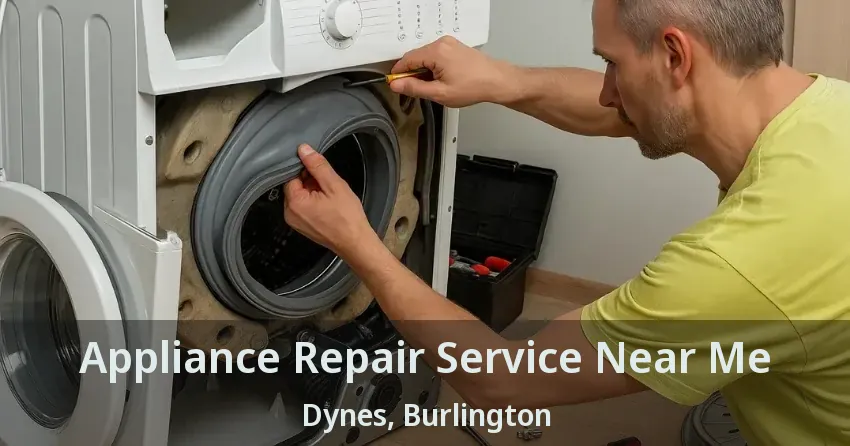 Appliance Repair Service Near Me Dynes, Burlington - ON