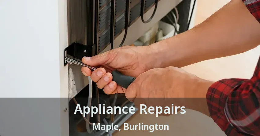 Appliance Repairs Maple, Burlington - ON
