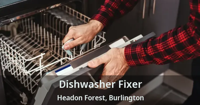 Dishwasher Fixer Headon Forest, Burlington - ON