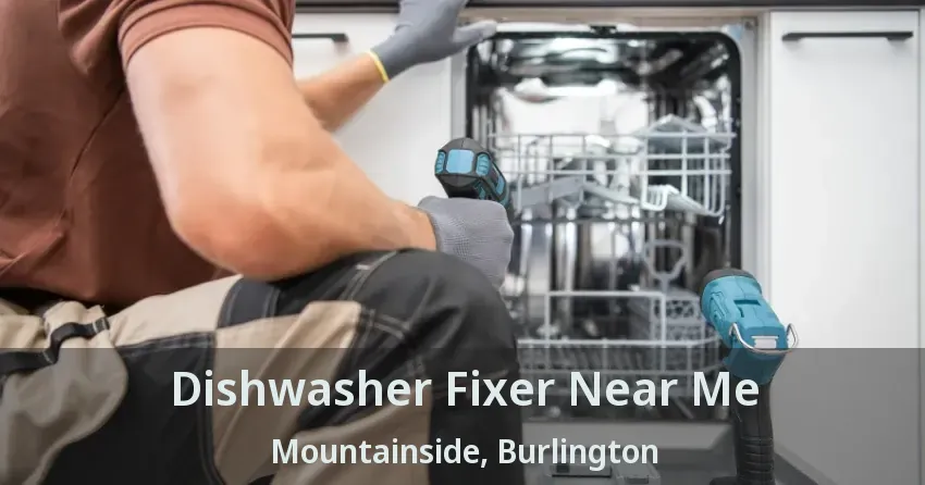 Dishwasher Fixer Near Me Mountainside, Burlington - ON