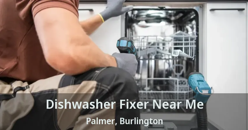 Dishwasher Fixer Near Me Palmer, Burlington - ON