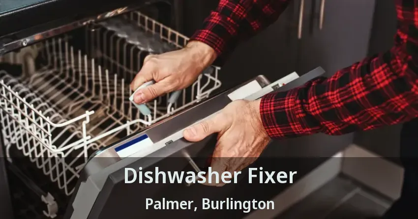 Dishwasher Fixer Palmer, Burlington - ON