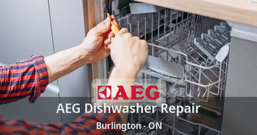 AEG Dishwasher Repair Burlington - ON