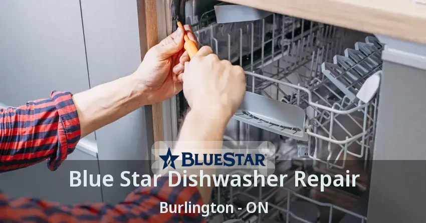 Blue Star Dishwasher Repair Burlington - ON