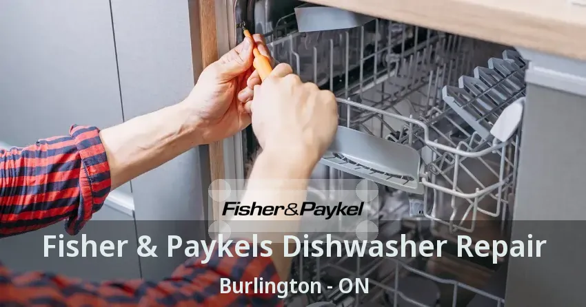 Fisher & Paykels Dishwasher Repair Burlington - ON