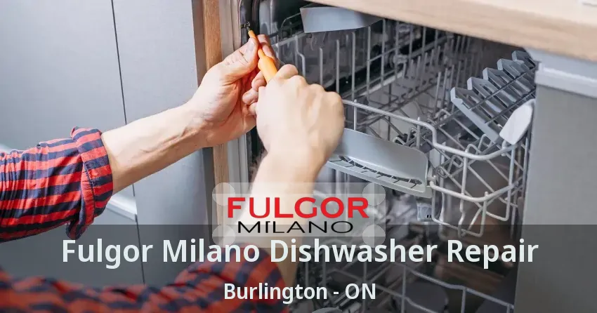 Fulgor Milano Dishwasher Repair Burlington - ON
