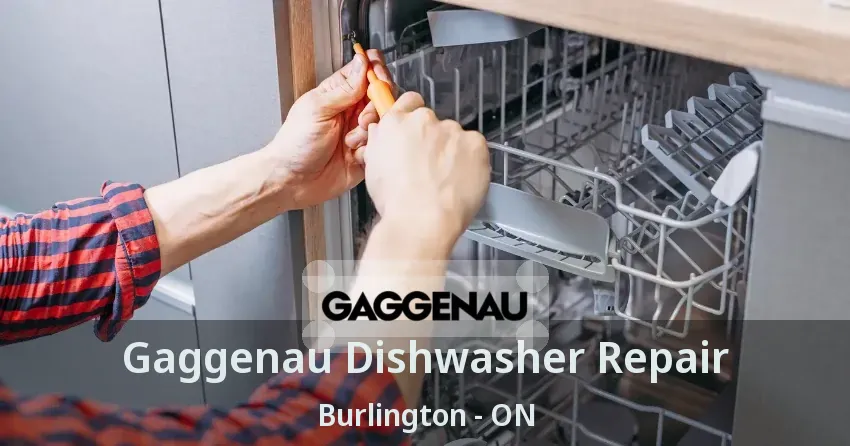 Gaggenau Dishwasher Repair Burlington - ON