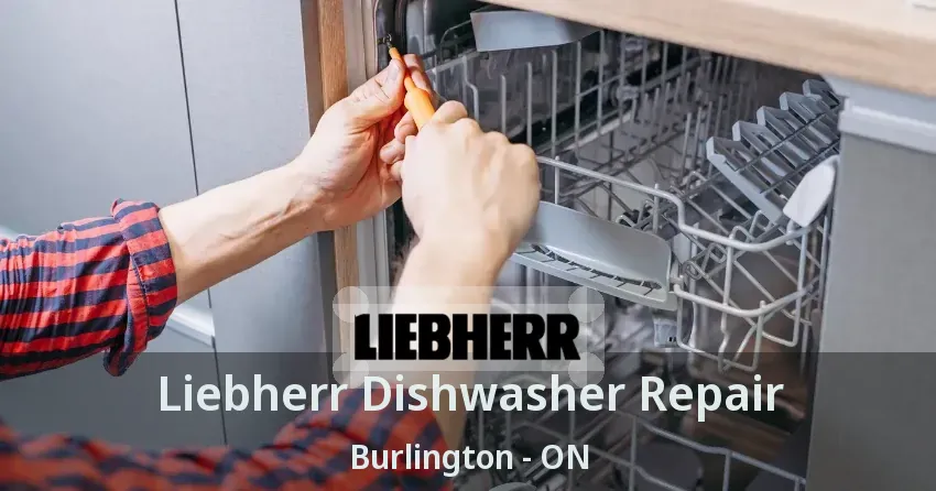 Liebherr Dishwasher Repair Burlington - ON