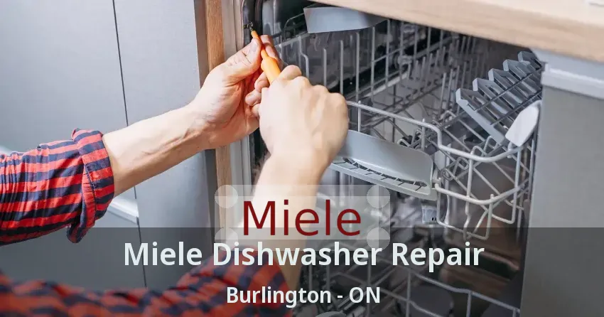 Miele Dishwasher Repair Burlington - ON