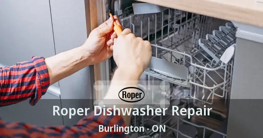Roper Dishwasher Repair Burlington - ON
