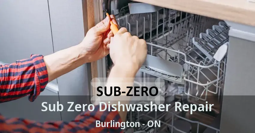 Sub Zero Dishwasher Repair Burlington - ON