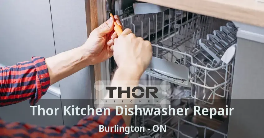Thor Kitchen Dishwasher Repair Burlington - ON