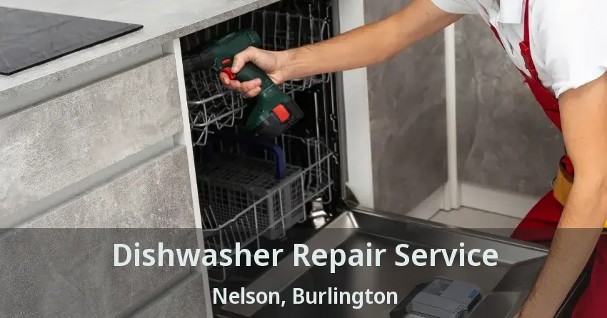 Dishwasher Repair Service Nelson, Burlington - ON