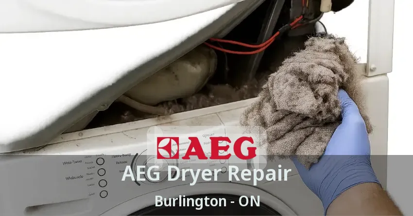 AEG Dryer Repair Burlington - ON
