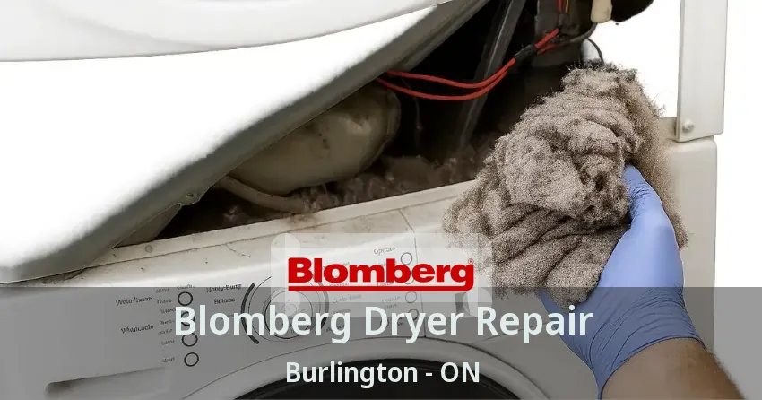 Blomberg Dryer Repair Burlington - ON