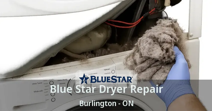 Blue Star Dryer Repair Burlington - ON