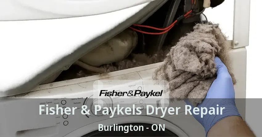 Fisher & Paykels Dryer Repair Burlington - ON