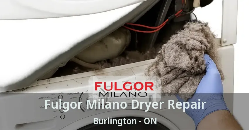 Fulgor Milano Dryer Repair Burlington - ON