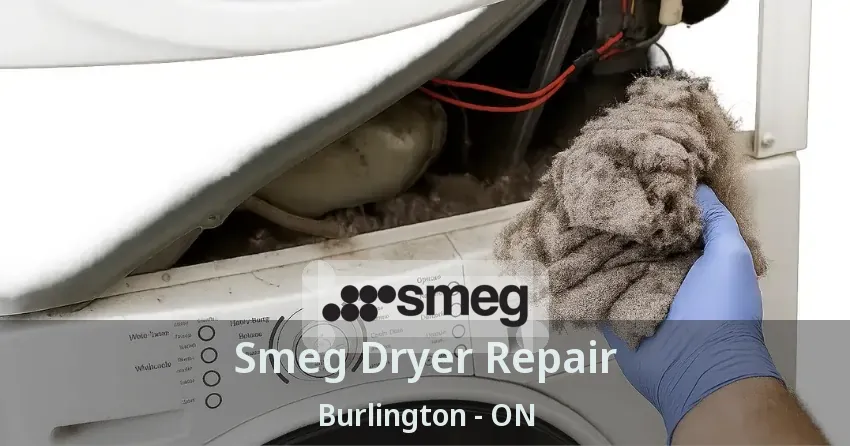 Smeg Dryer Repair Burlington - ON