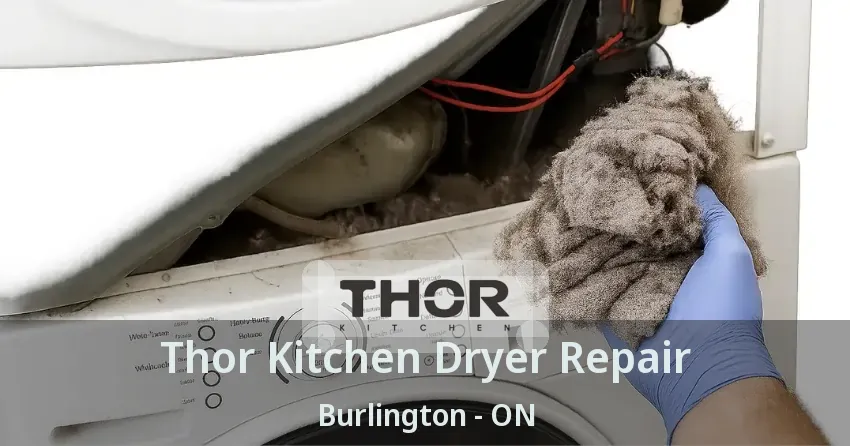 Thor Kitchen Dryer Repair Burlington - ON