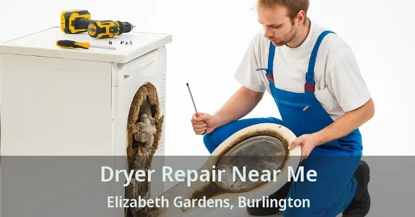 Dryer Repair Near Me Elizabeth Gardens, Burlington - ON
