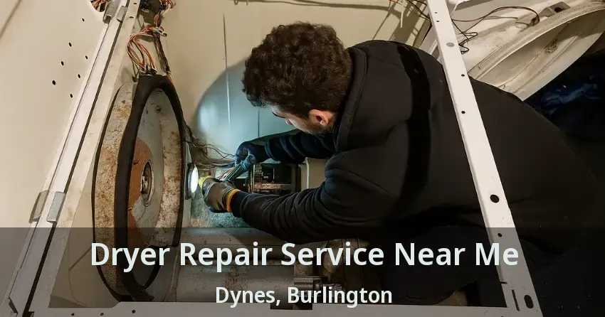 Dryer Repair Service Near Me Dynes, Burlington - ON