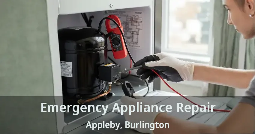 Emergency Appliance Repair Appleby, Burlington - ON