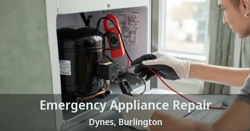 Emergency Appliance Repair Dynes, Burlington - ON