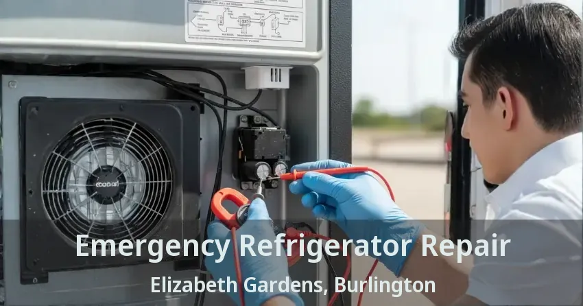 Emergency Refrigerator Repair Elizabeth Gardens, Burlington - ON