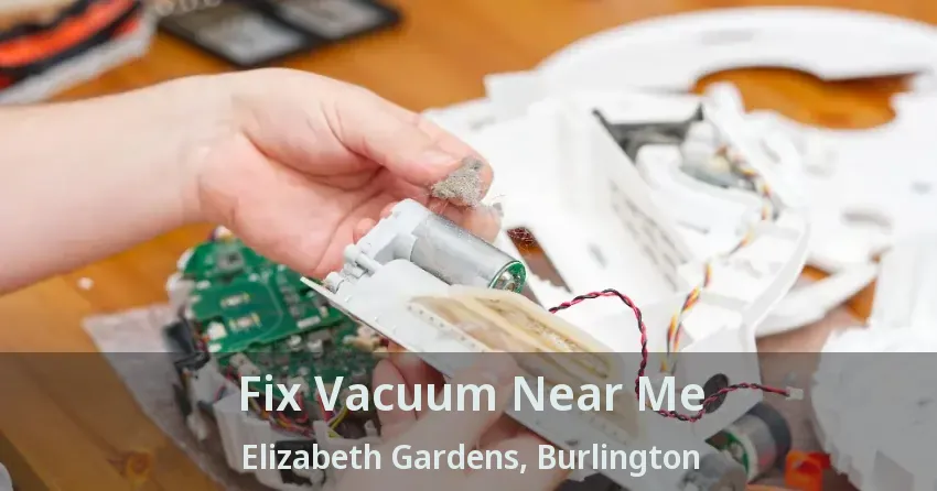 Fix Vacuum Near Me Elizabeth Gardens, Burlington - ON