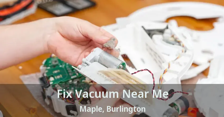 Fix Vacuum Near Me Maple, Burlington - ON