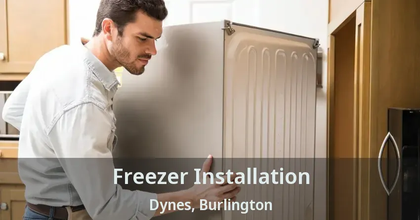 Freezer Installation Dynes, Burlington - ON