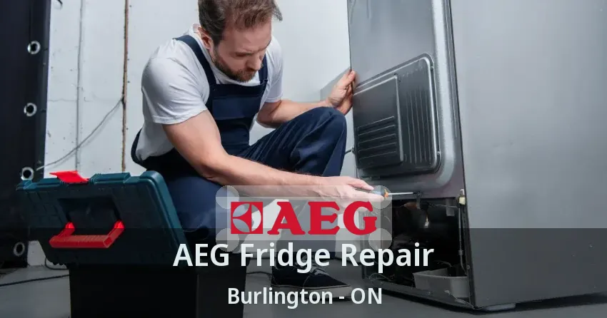 AEG Fridge Repair Burlington - ON