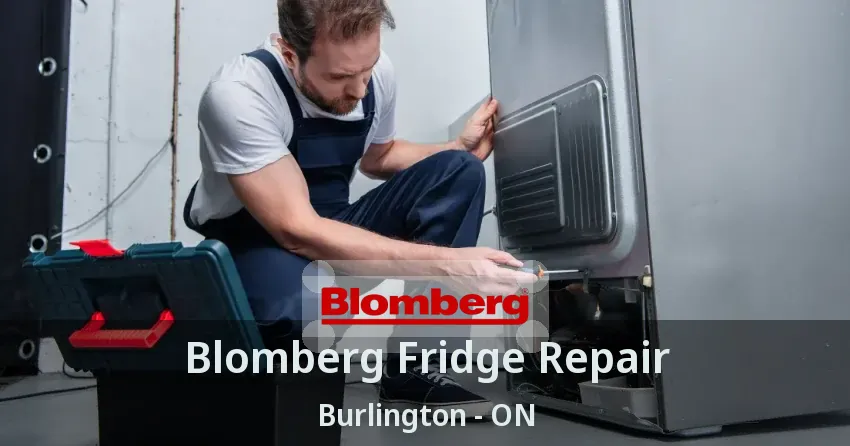 Blomberg Fridge Repair Burlington - ON