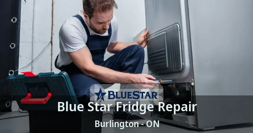 Blue Star Fridge Repair Burlington - ON