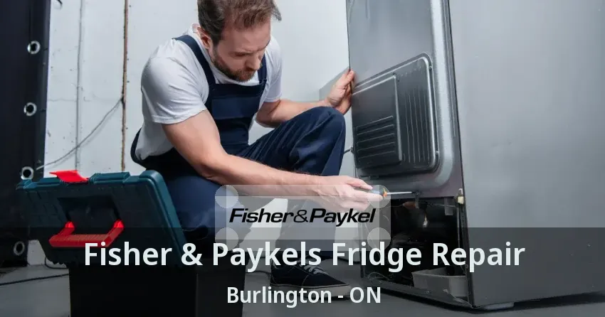 Fisher & Paykels Fridge Repair Burlington - ON