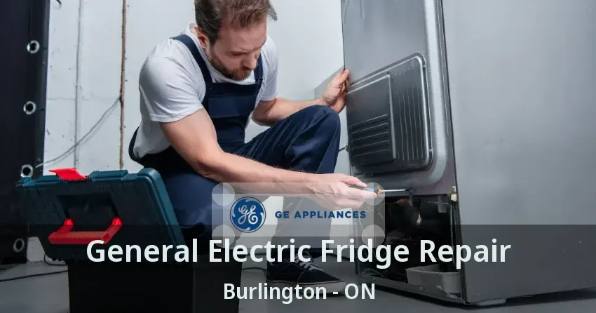 General Electric Fridge Repair Burlington - ON