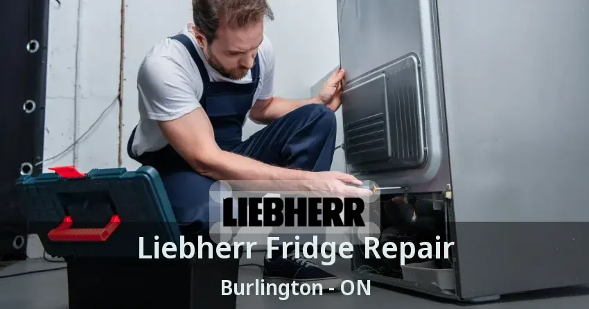 Liebherr Fridge Repair Burlington - ON
