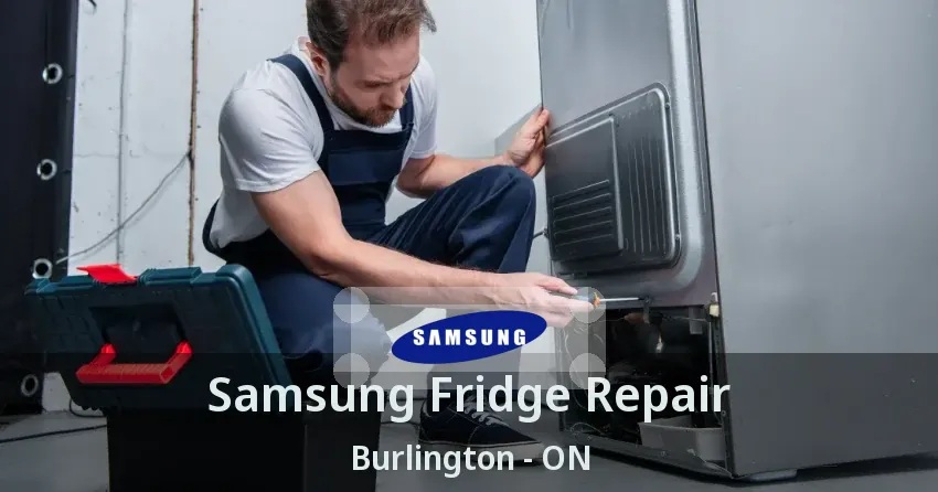 Samsung Fridge Repair Burlington - ON