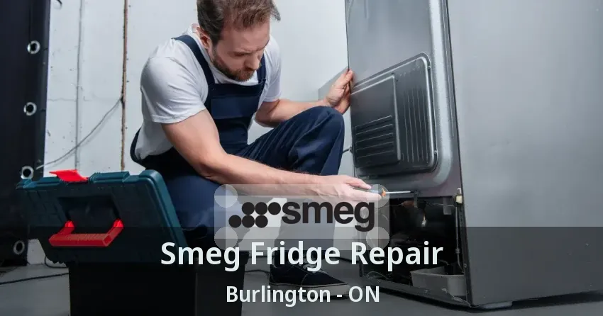 Smeg Fridge Repair Burlington - ON