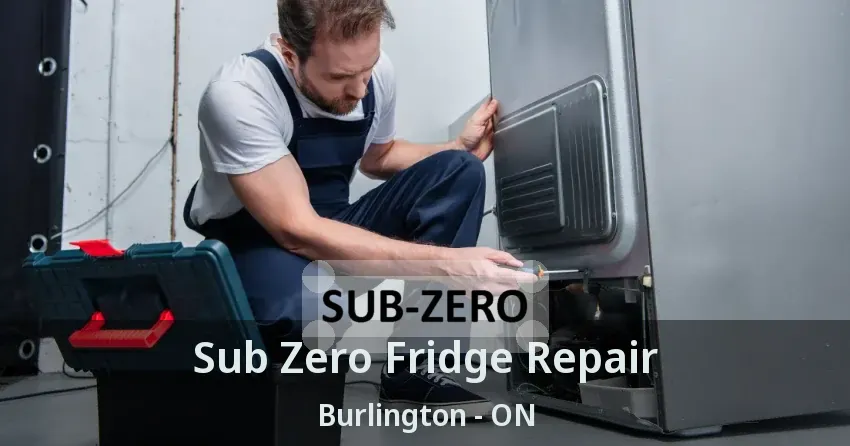 Sub Zero Fridge Repair Burlington - ON