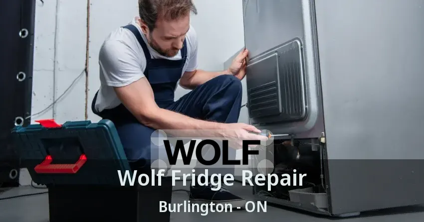 Wolf Fridge Repair Burlington - ON