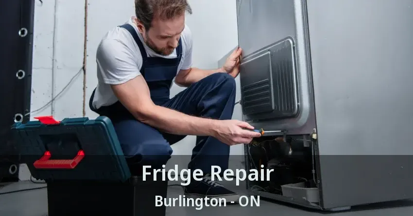 Fridge Repair Burlington - ON