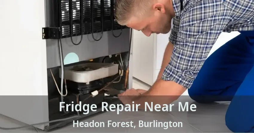 Fridge Repair Near Me Headon Forest, Burlington - ON