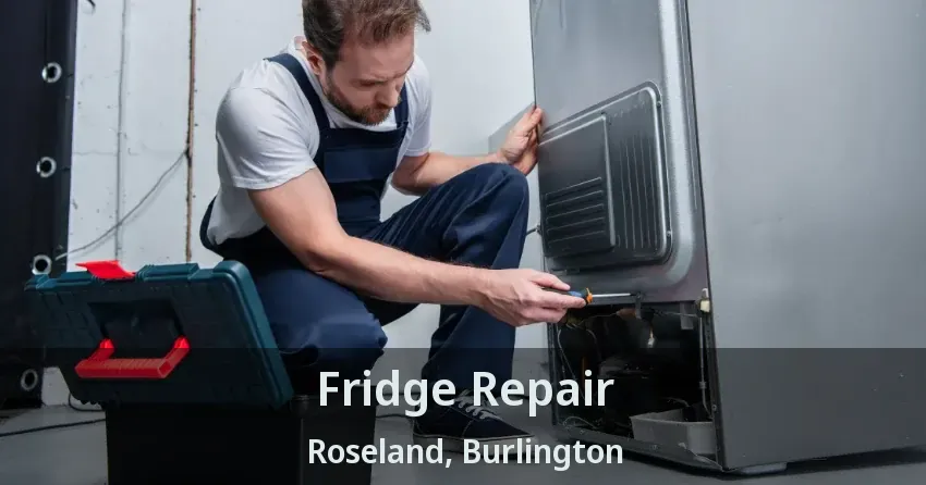 Fridge Repair Roseland, Burlington - ON