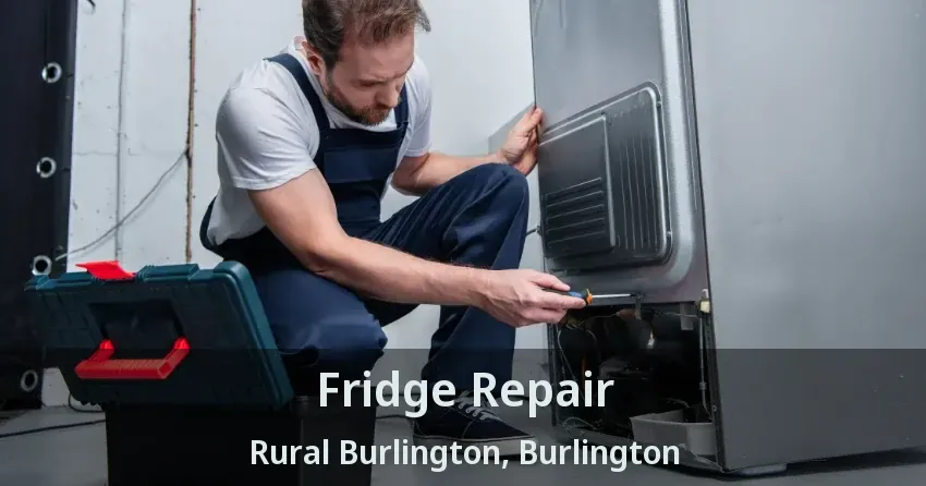 Fridge Repair Rural Burlington, Burlington - ON