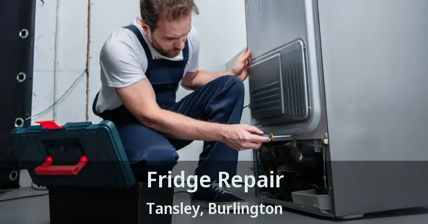 Fridge Repair Tansley, Burlington - ON