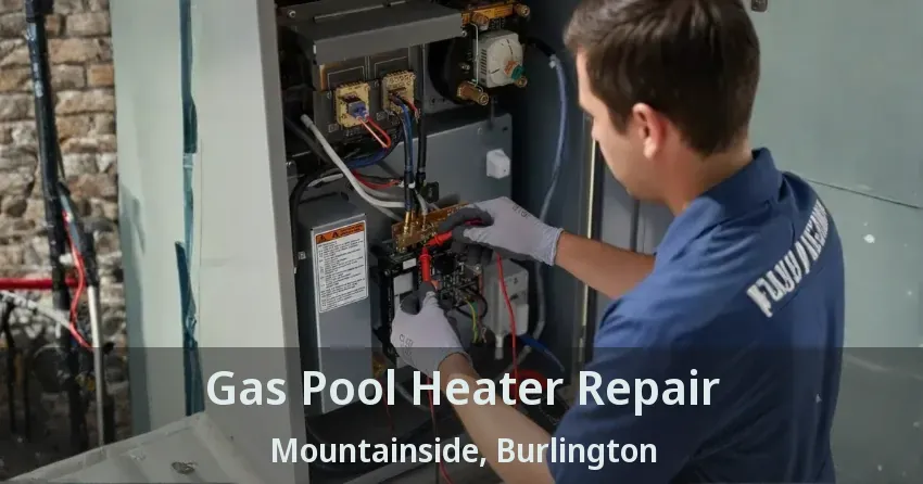 Gas Pool Heater Repair Mountainside, Burlington - ON