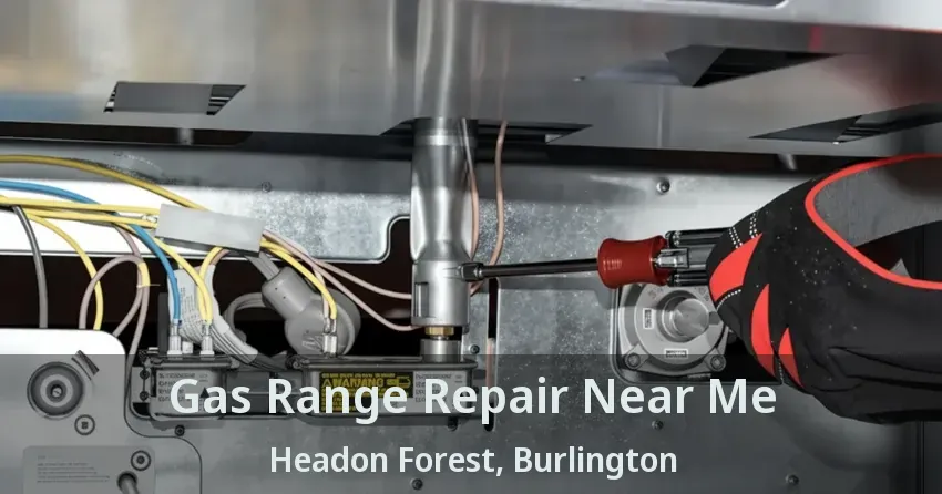 Gas Range Repair Near Me Headon Forest, Burlington - ON
